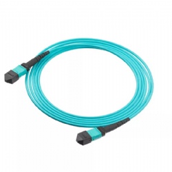 MPO/MTP Trunk Cable